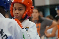 2019 Sparring