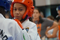 DSC02202