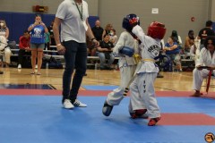 IMG_0917