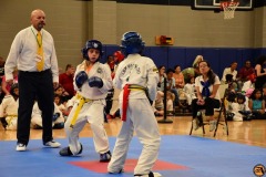 SDSC_0249