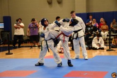 SDSC_0433