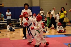 SDSC_0504