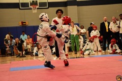 SDSC_0542