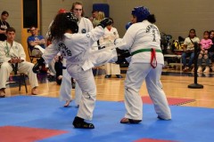 SDSC_0565