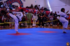 DSC_0698-EDIT